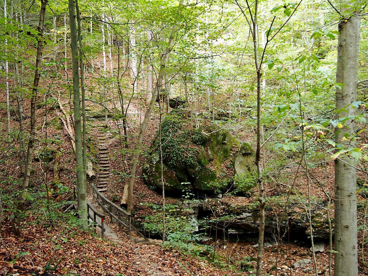 Carter Caves State Resort Park Olive Hill Kültér fotó